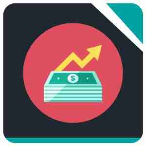 Make more money. Diversify your income sources