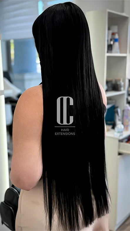 carousel-dayanni-castro